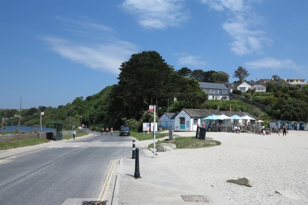 swanpool Photo