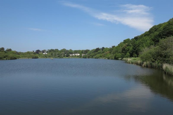 swanpool Photo